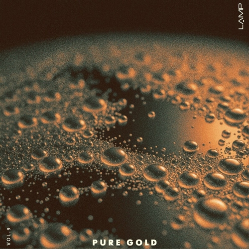 Download VA – Pure Gold, Vol. 9 [LP1010] - DJ Sound Top